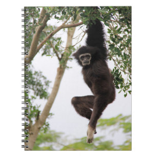 Gibbons die slingeren aan een boom notitieboek