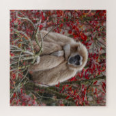 Gibbon's eenzaamheid legpuzzel (Horizontaal)