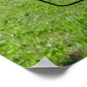 Gibbs Hill Lighthouse Park Poster (Hoek)