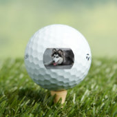 giberische husky eerst leggen golfballen (Insitu Shirt)