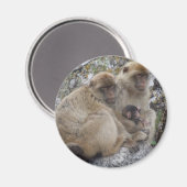 Gibraltar Apes - Magneet (Voorkant / Achterkant)