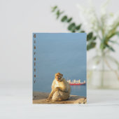 Gibraltar Barbary ape Briefkaart (Staand voorkant)