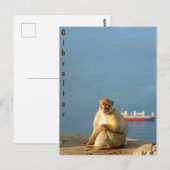 Gibraltar Barbary ape Briefkaart (Voorkant / Achterkant)