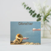 Gibraltar Barbary ape Briefkaart (Staand voorkant)