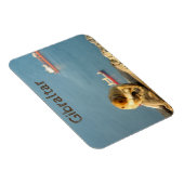 Gibraltar Barbary ape Magneet (Rechterzijde)