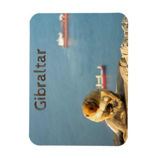 Gibraltar Barbary ape Magneet (Verticaal)