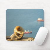 Gibraltar Barbary ape Muismat (Met muis)