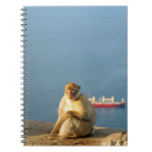 Gibraltar Barbary ape Notitieboek (Voorkant)