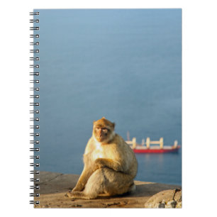 Gibraltar Barbary ape Notitieboek