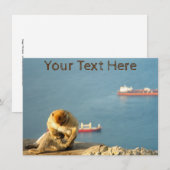  Gibraltar Barbary-kaart (Voorkant / Achterkant)