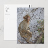 Gibraltar Monkey briefkaart, pas aan Briefkaart (Voorkant / Achterkant)