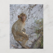 Gibraltar Monkey briefkaart, pas aan Briefkaart (Voorkant)