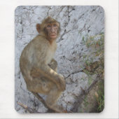 Gibraltar Monkey mousepad Muismat (Voorkant)