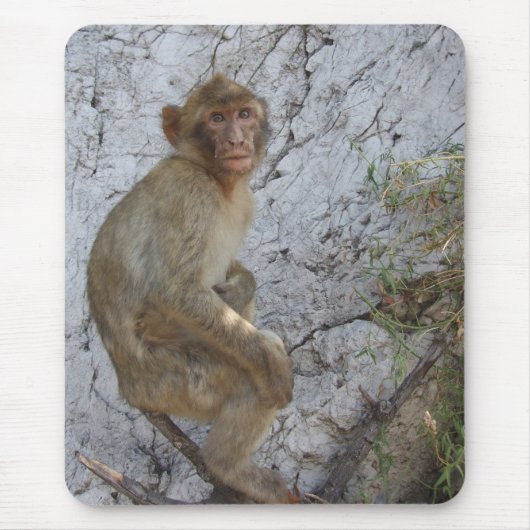 Gibraltar Monkey mousepad Muismat (Voorkant)