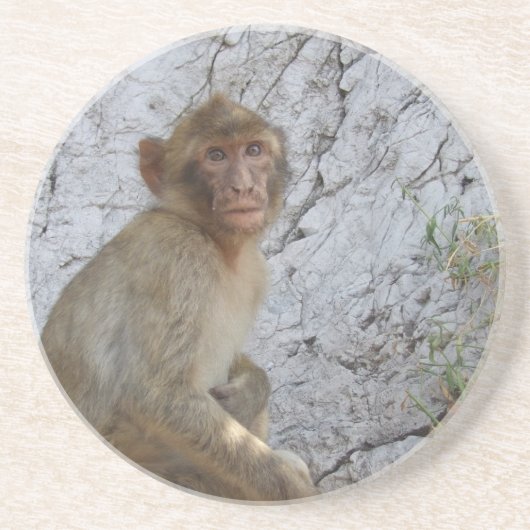 Gibraltar Monkey onderzetter (Voorkant)