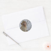Gibraltar Monkey stickers (Envelop)