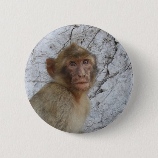 Gibraltar Monkey-toets Ronde Button 5,7 Cm (Voorkant)