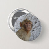 Gibraltar Monkey-toets Ronde Button 5,7 Cm (Voorkant /achterkant)