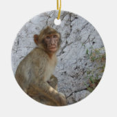 Gibraltar Monkey-versiering Keramisch Ornament (Voorkant)