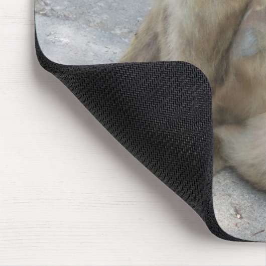 Gibraltar Monkeys mousepad Muismat (Hoek)