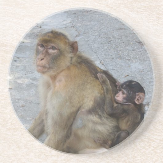 Gibraltar Monkeys onderzetter (Voorkant)