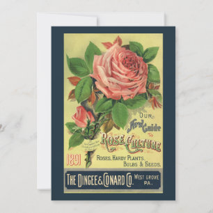  Gids voor Roos Cultuur Boek Hoesje Art, 1891