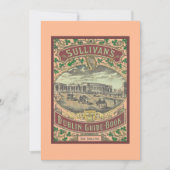  gids voor toeristen in Dublin Ierland (Voorkant)