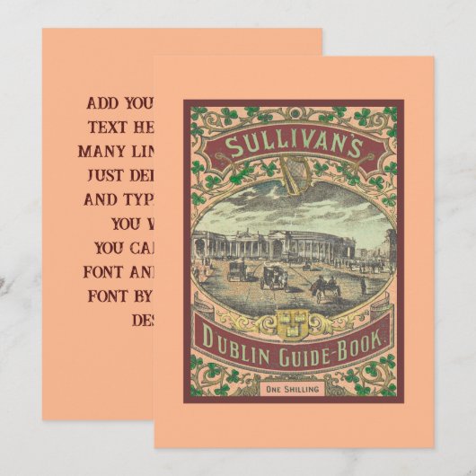  gids voor toeristen in Dublin Ierland (Voorkant / Achterkant)