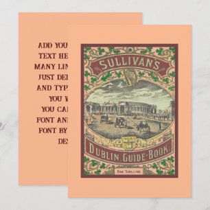 gids voor toeristen in Dublin Ierland