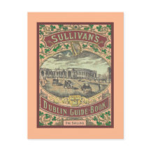 gids voor toeristen in Dublin Ierland