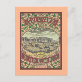gids voor toeristen in Dublin Ierland Briefkaart