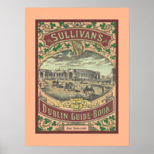  gids voor toeristen in Dublin Ierland Poster