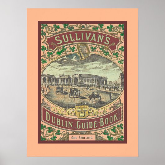  gids voor toeristen in Dublin Ierland Poster (Voorkant)