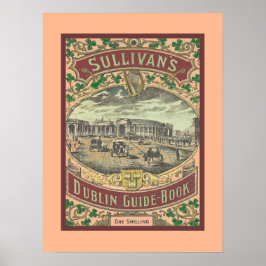  gids voor toeristen in Dublin Ierland Poster