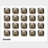 Giechede bosmarmot met nachtmuts vierkante sticker (Vel)