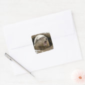 Giechede bosmarmot met nachtmuts vierkante sticker (Envelop)