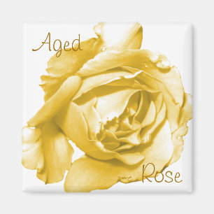Giepte Roos Square Magnet