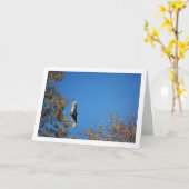 Gier boven bomen kaart (Gele Bloem)