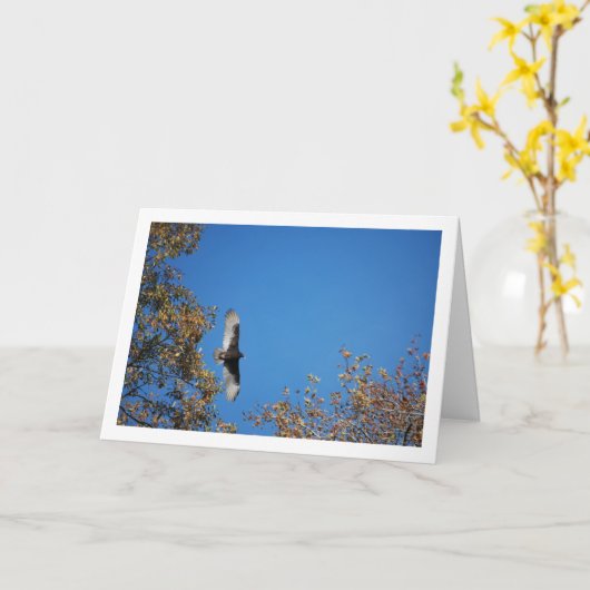 Gier boven bomen kaart (Gele Bloem)