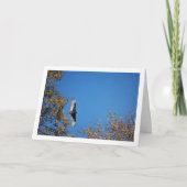 Gier boven bomen kaart (Voorkant)