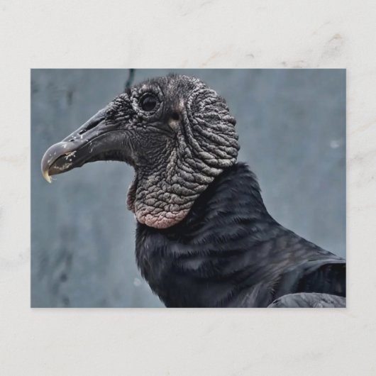 Gier Briefkaart (Voorkant)