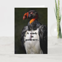 GIER GEDULD VERJAARDAG KAART