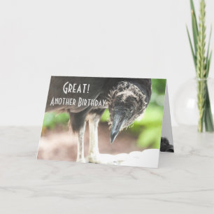 gier Happy Birthday Kaart