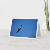 Gier in blauwe lucht kaart (Voorkant)