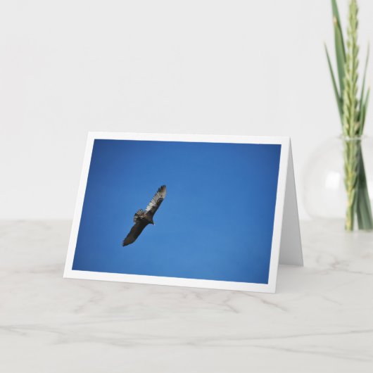 Gier in blauwe lucht kaart (Voorkant)