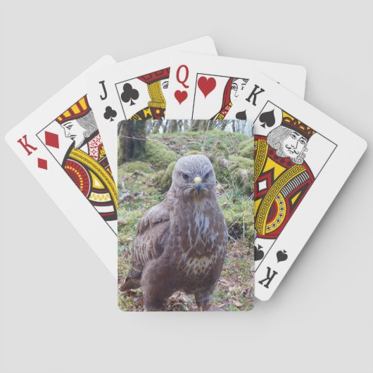 Gier Met Attitude– Grappige Roofvogel Pokerkaarten (Achterkant)
