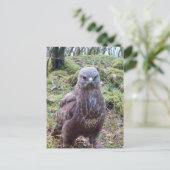 Gier met Houding  Feestdagenkaart (Staand voorkant)