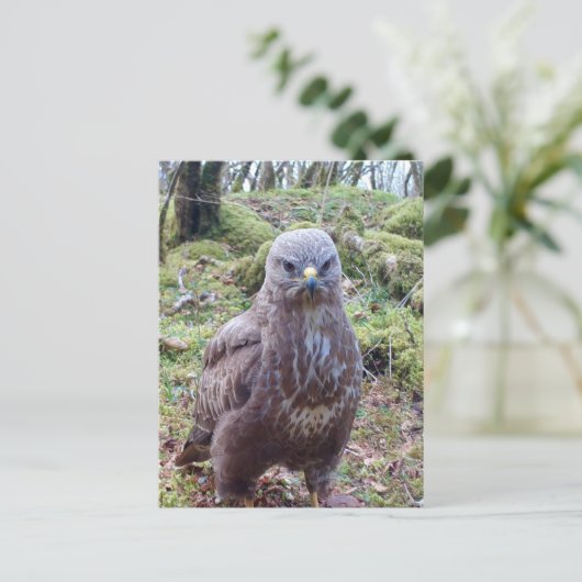 Gier met Houding  Feestdagenkaart (Staand voorkant)