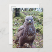 Gier met Houding  Feestdagenkaart (Voorkant / Achterkant)