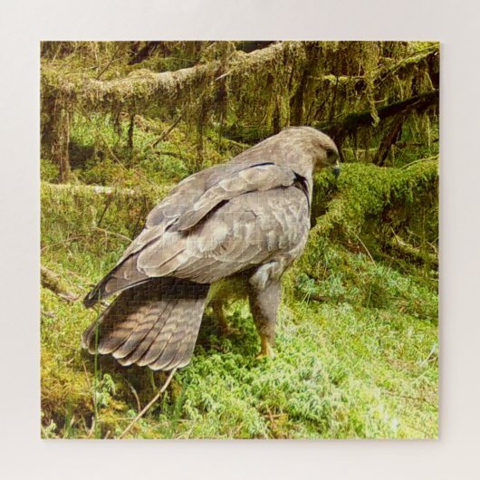 Gier op zoek naar larven legpuzzel (Horizontaal)